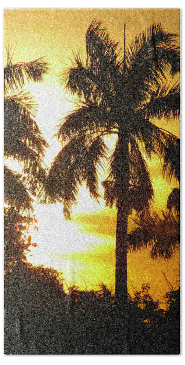 Tropical Bath Towel featuring the photograph Tropical Sunset Palm by David Bader