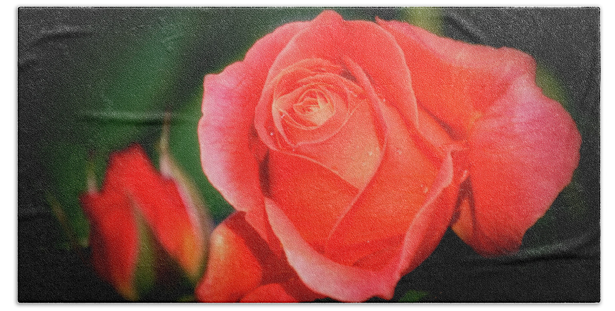 Flower Bath Towel featuring the photograph Tropicana Rose by Albert Seger