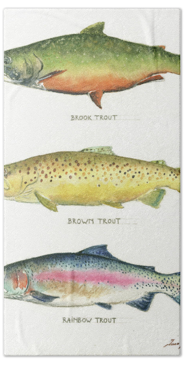 Brook Trout Hand Towel featuring the painting Trout species by Juan Bosco