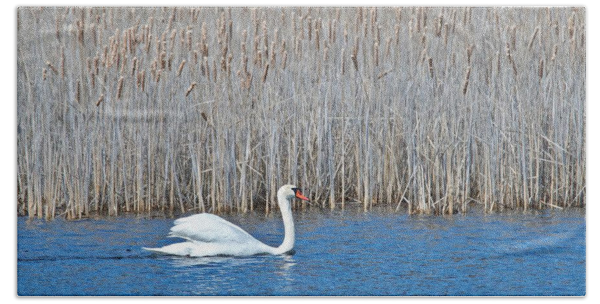 Swan Hand Towel featuring the photograph Trumpeter Swan 0967 by Michael Peychich