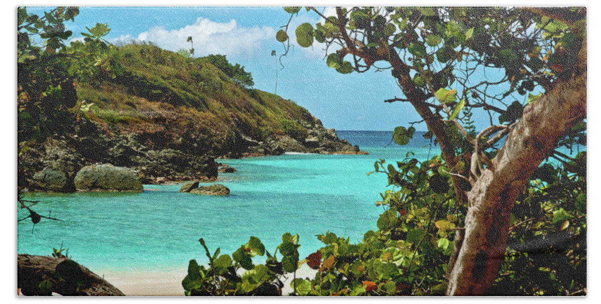 Trunk Bay Bath Towel featuring the photograph Trunk Bay Island by Harry Spitz