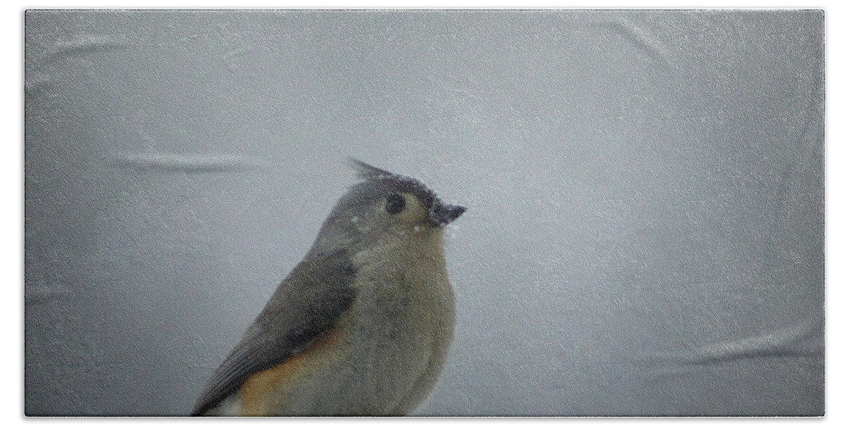 Snow Bath Towel featuring the photograph Tufted Titmouse in the Snow by Cricket Hackmann