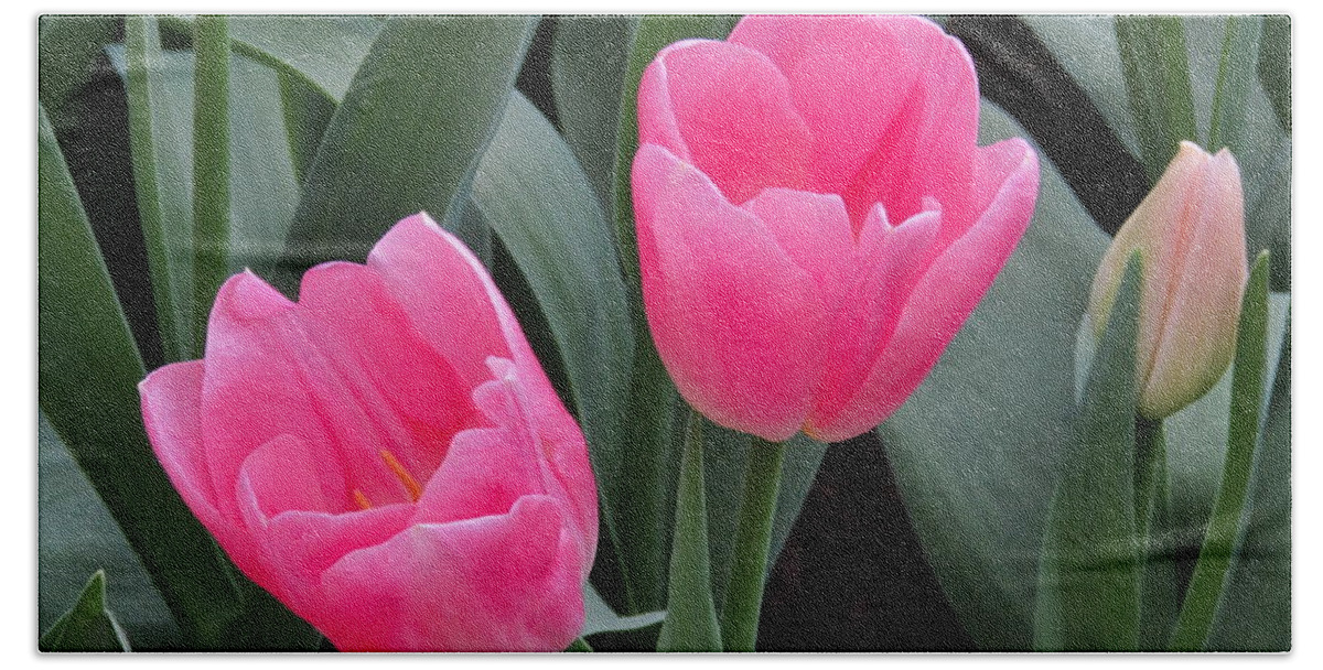 Orchid Bath Towel featuring the photograph Tulip by Cesar Vieira