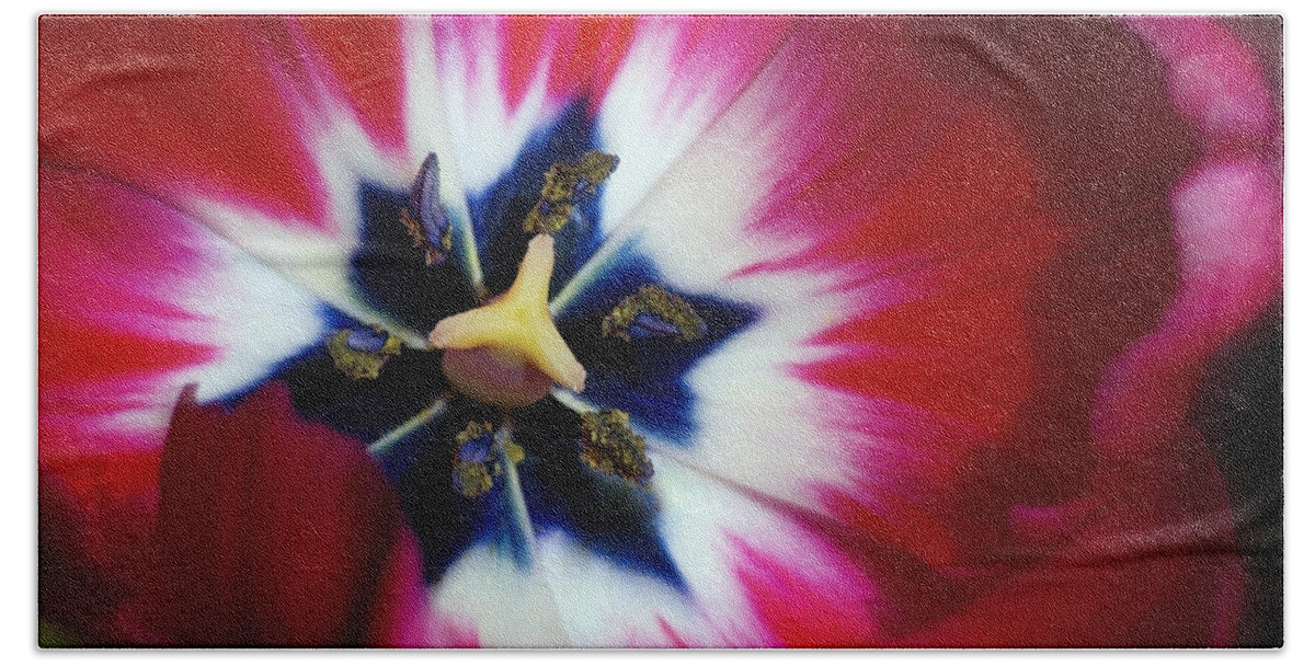 Floral Bath Towel featuring the photograph Tulip Dazzle by Emerita Wheeling