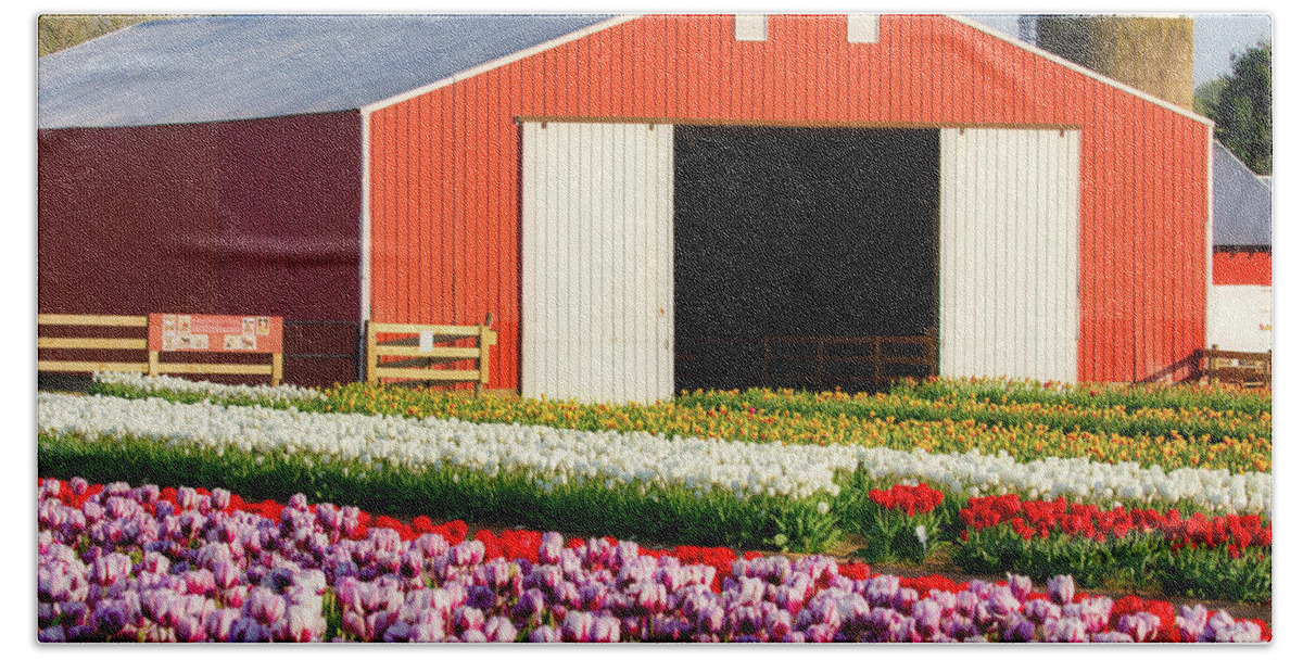 Barn Bath Towel featuring the photograph Tulip Field and Red Barn by Jerry Fornarotto