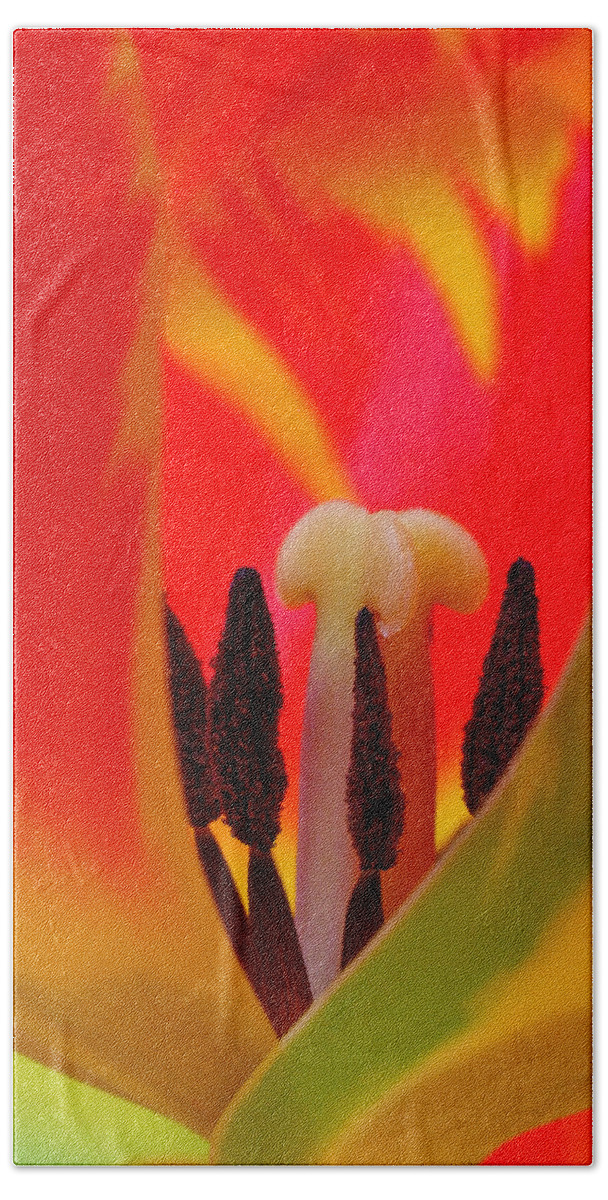 Tulip Bath Towel featuring the photograph Tulip Intimate by Juergen Roth