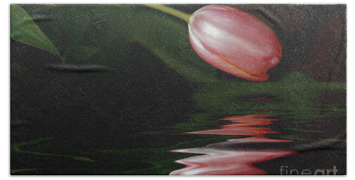 Tulip Bath Towel featuring the photograph Tulip Reflections by Elaine Teague