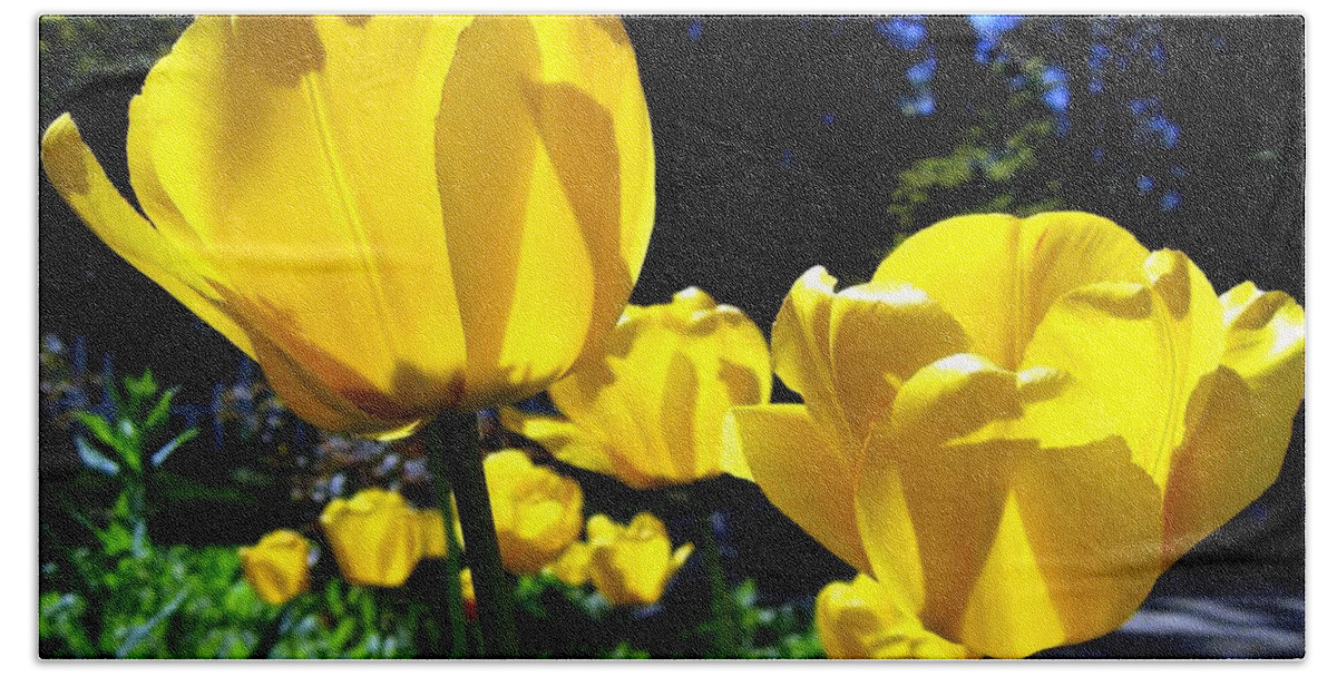 Tulips Hand Towel featuring the photograph Tulipfest 5 by Will Borden
