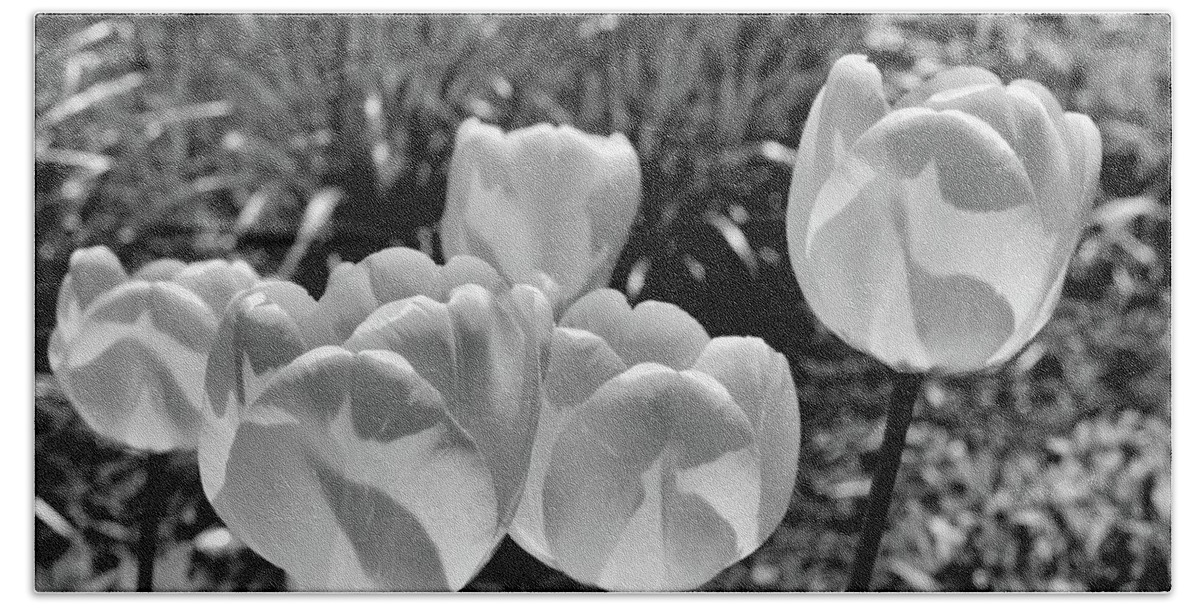 Black And White Bath Towel featuring the photograph Tulips 2 by Lyle Crump