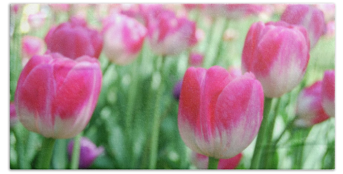  Flower Bath Towel featuring the photograph Tulips 2 by Michael Peychich
