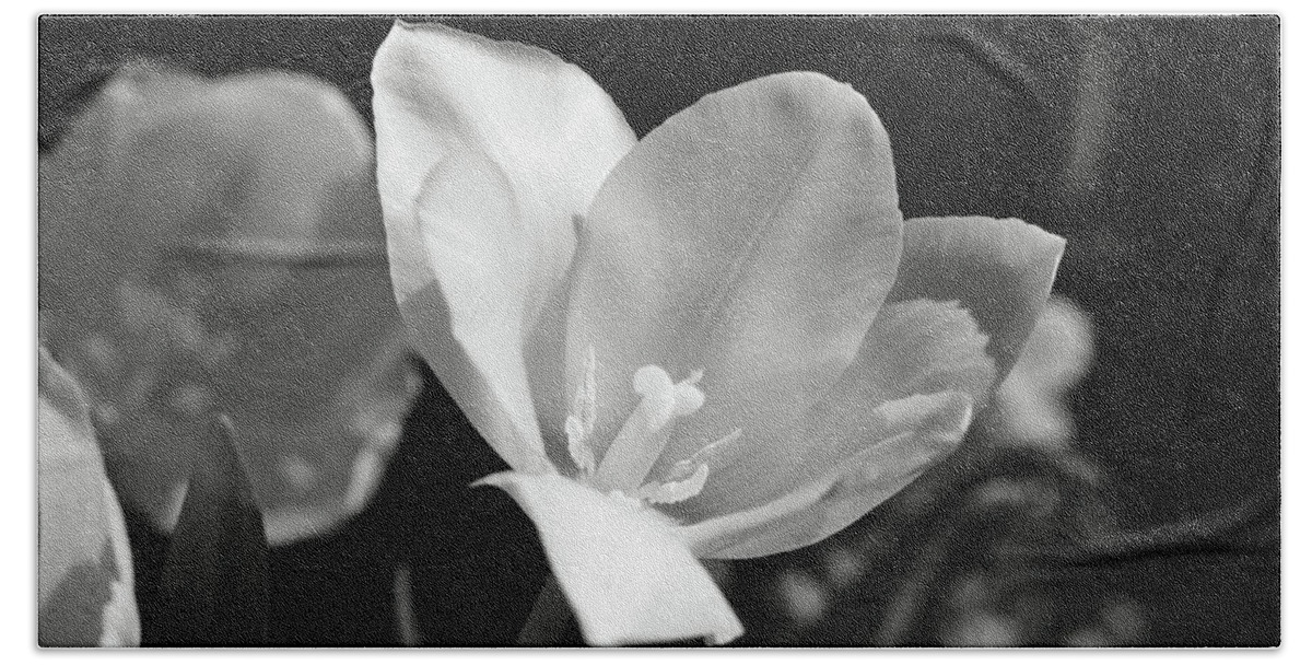 Tulip Bath Towel featuring the photograph Tulips - Beauty In Bloom - BW Infrared SFX 09 by Pamela Critchlow