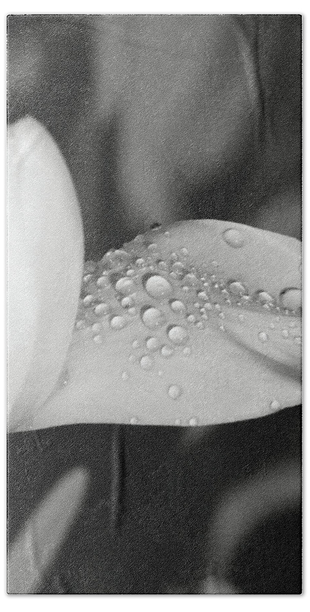 Tulip Bath Towel featuring the photograph Tulips - Beauty In Bloom - BW Infrared SFX 17 by Pamela Critchlow