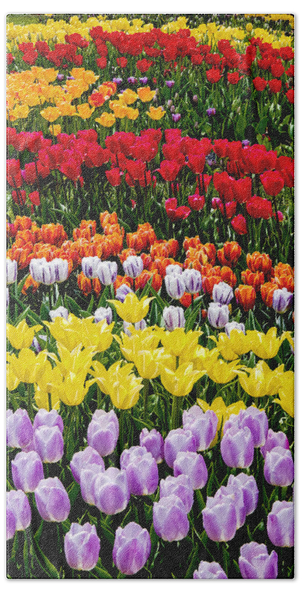 Garden Bath Towel featuring the photograph Tulips by Greg Fortier