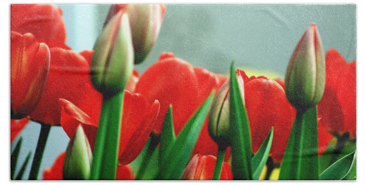 Tulips Hand Towel featuring the photograph Tulips by Karl Rose