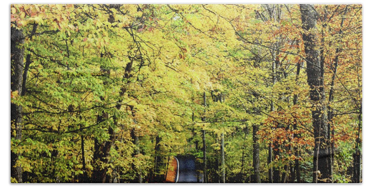 October Bath Towel featuring the photograph Tunnel of Trees by Laura Kinker