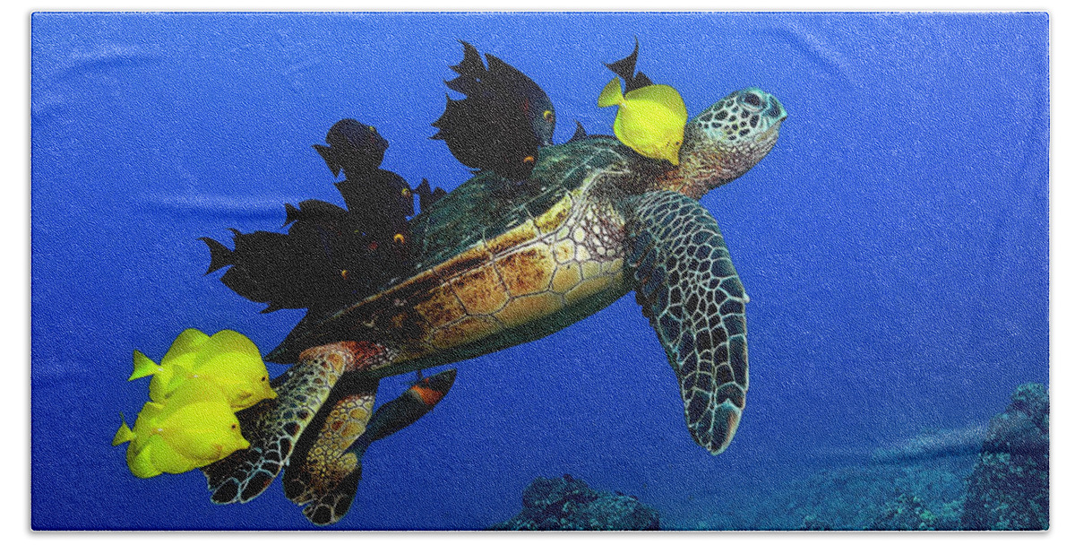 Hawaii Hand Towel featuring the photograph Turtle grooming by Artesub
