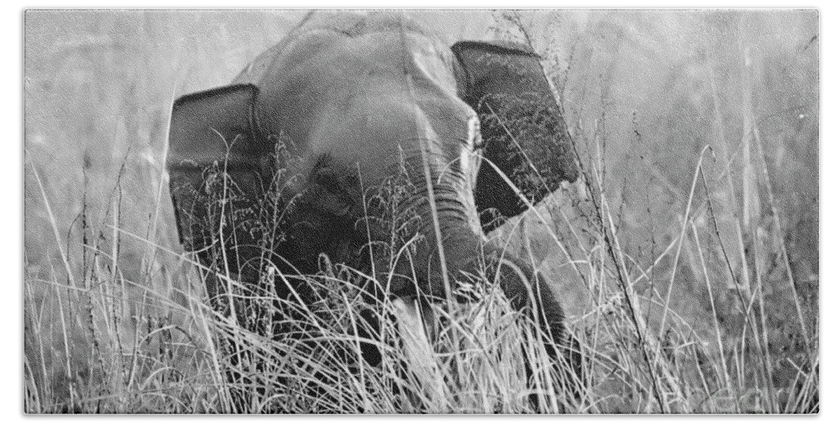 Black And White Hand Towel featuring the photograph Tusker in the grass by Pravine Chester