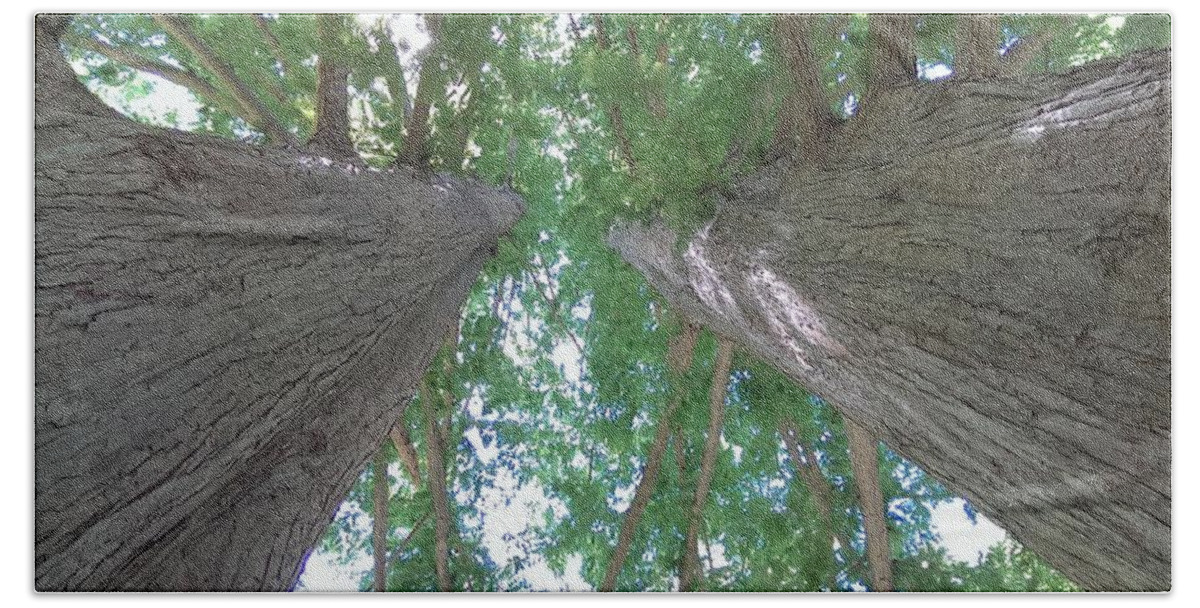 Eastern Bath Towel featuring the photograph Twin Trees by Liza Eckardt