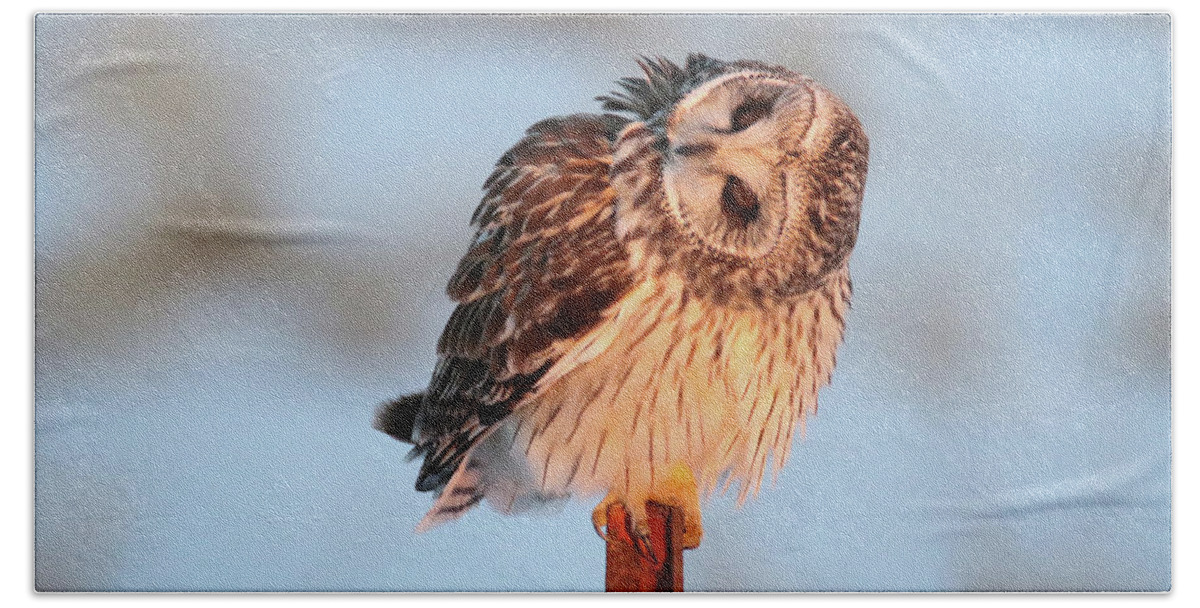 Short Eared Owl Bath Towel featuring the photograph Twisted by Brook Burling