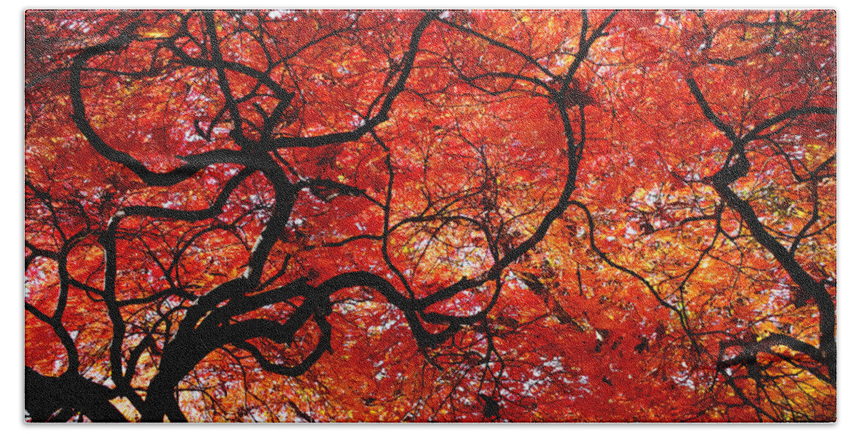 Tree Bath Towel featuring the photograph Twisted Red by Colleen Kammerer