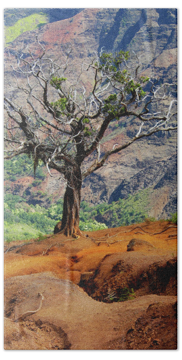 Tree Bath Sheet featuring the photograph Twisted Tree, Wiamea Canyon, Kawai Hawaii by Michael Bessler