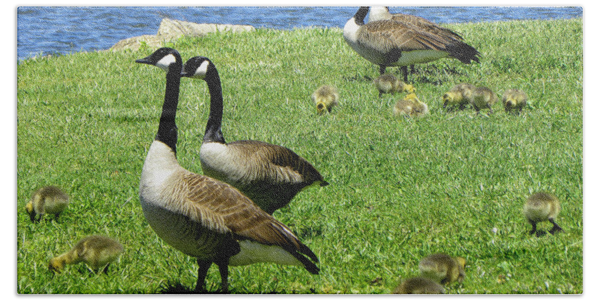 Geese Hand Towel featuring the photograph Two By Two by Sandi OReilly
