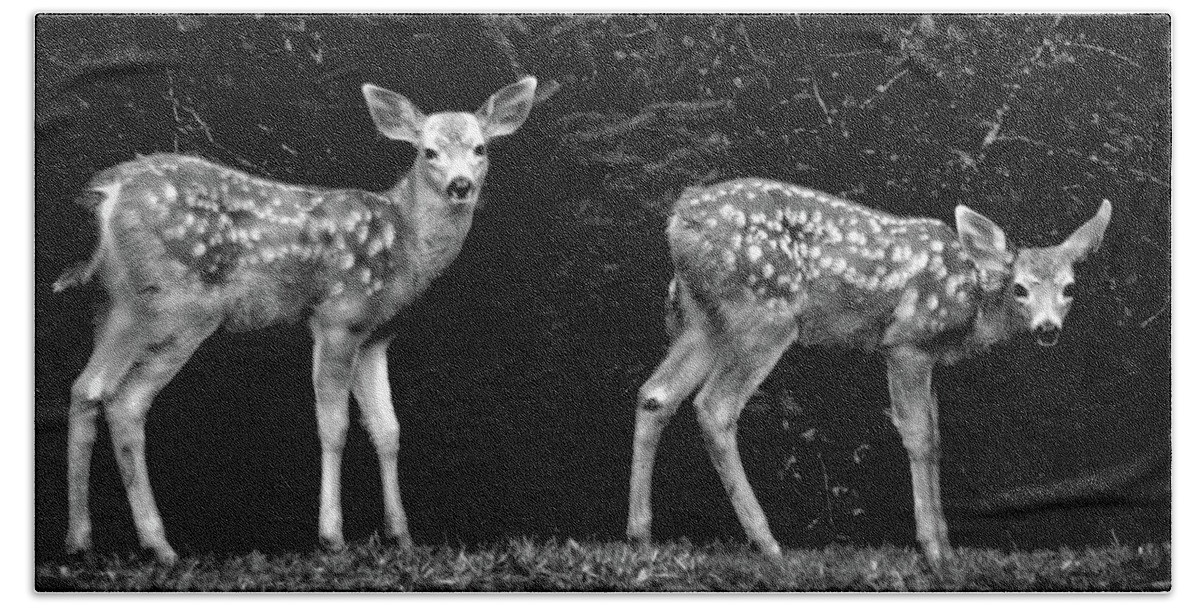 Adria Trail Bath Towel featuring the photograph Two Fawns by Adria Trail