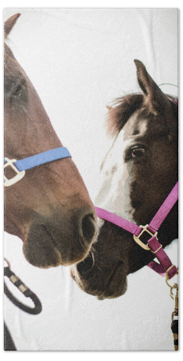 Kelly Hazel Bath Towel featuring the photograph Two Horses Nose to Nose in Color by Kelly Hazel