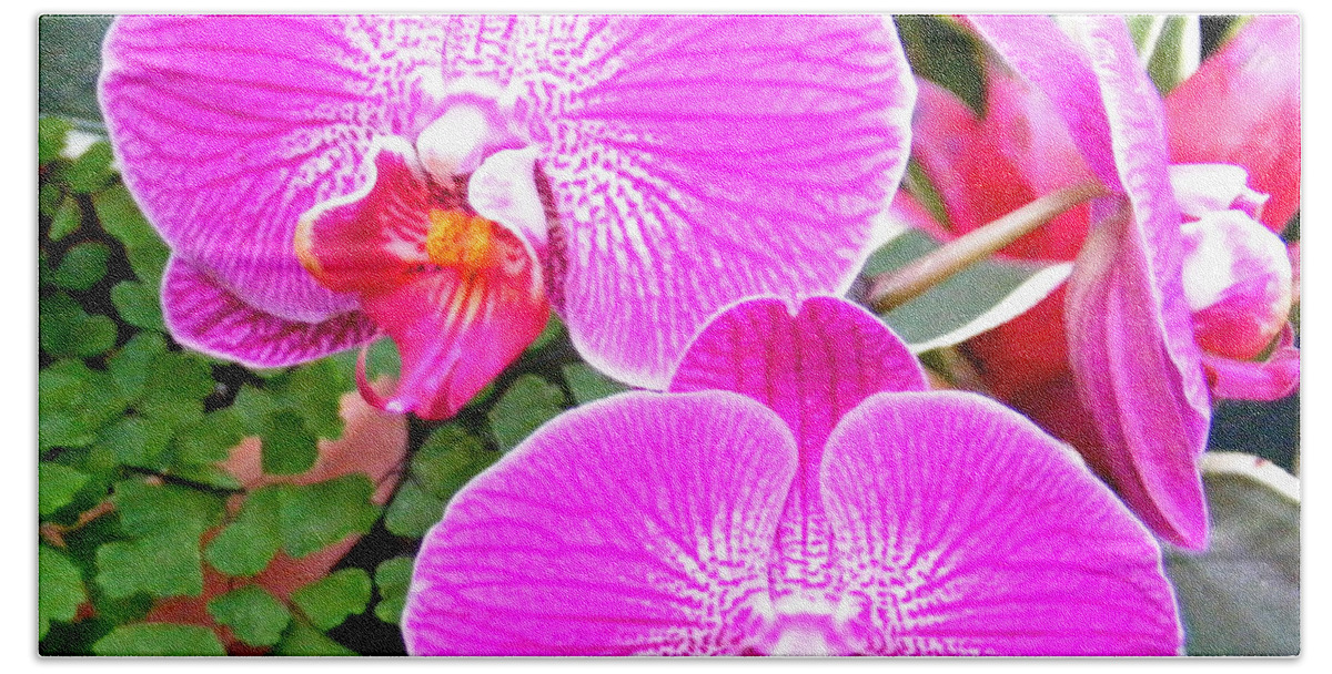 Plants Bath Towel featuring the photograph Two Orchids by Duane McCullough