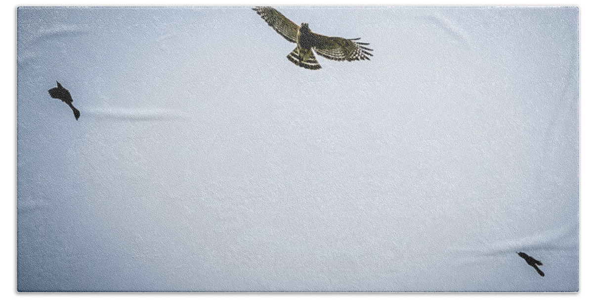 Hawk Hand Towel featuring the digital art Two Police birds attack predator Hawk by Ed Stines