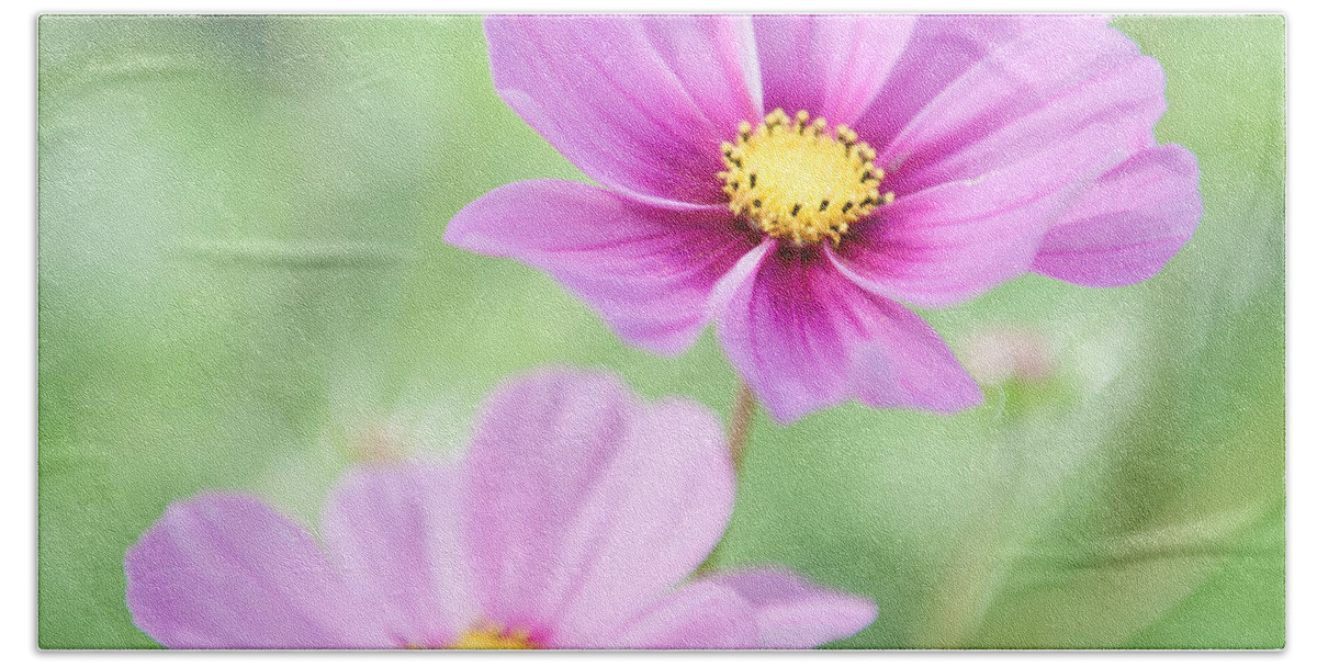 Two Bath Towel featuring the photograph Two Purple Cosmos Flowers by Helen Jackson