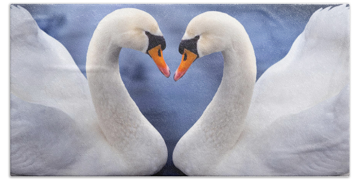 Valentines Hand Towel featuring the photograph Two Swans by MGL Meiklejohn Graphics Licensing