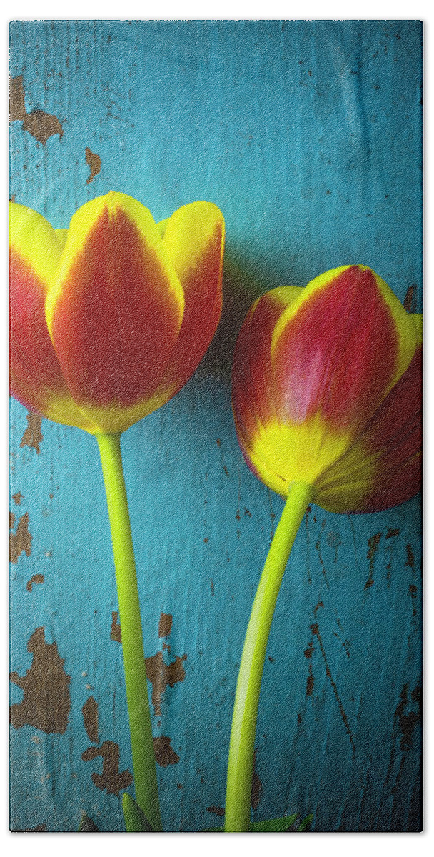 Red Bath Sheet featuring the photograph Two Tulips Against Blue Wall by Garry Gay