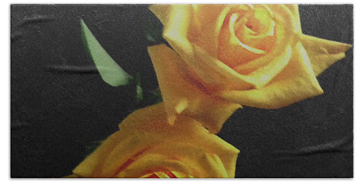 Two Bath Towel featuring the photograph Two Yellow Roses by Rita Brown
