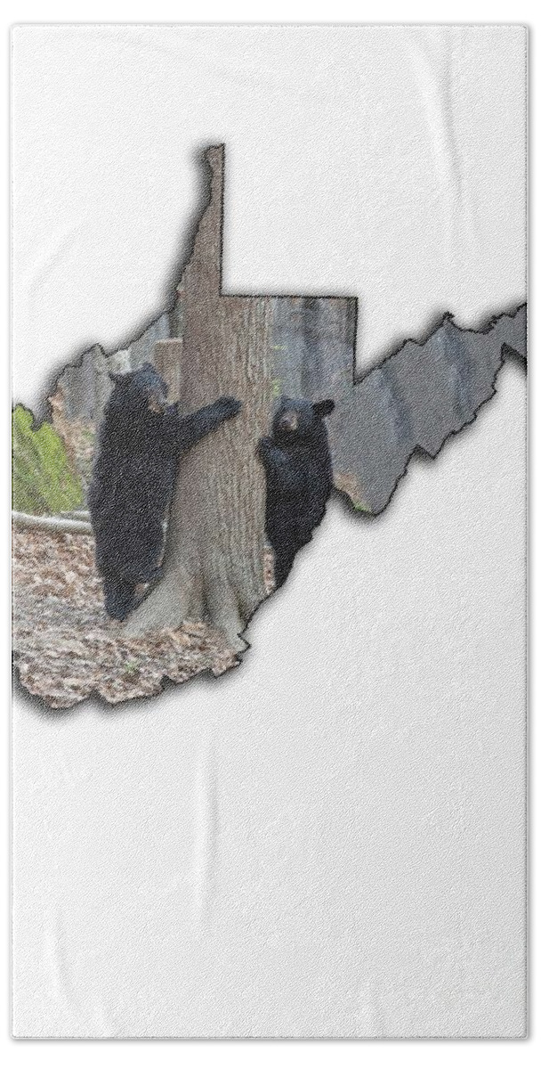 Black; Black Bear; Bear; Fall; Leaves; Climbing; Tree Hand Towel featuring the photograph Two young black bear standing by tree by Dan Friend