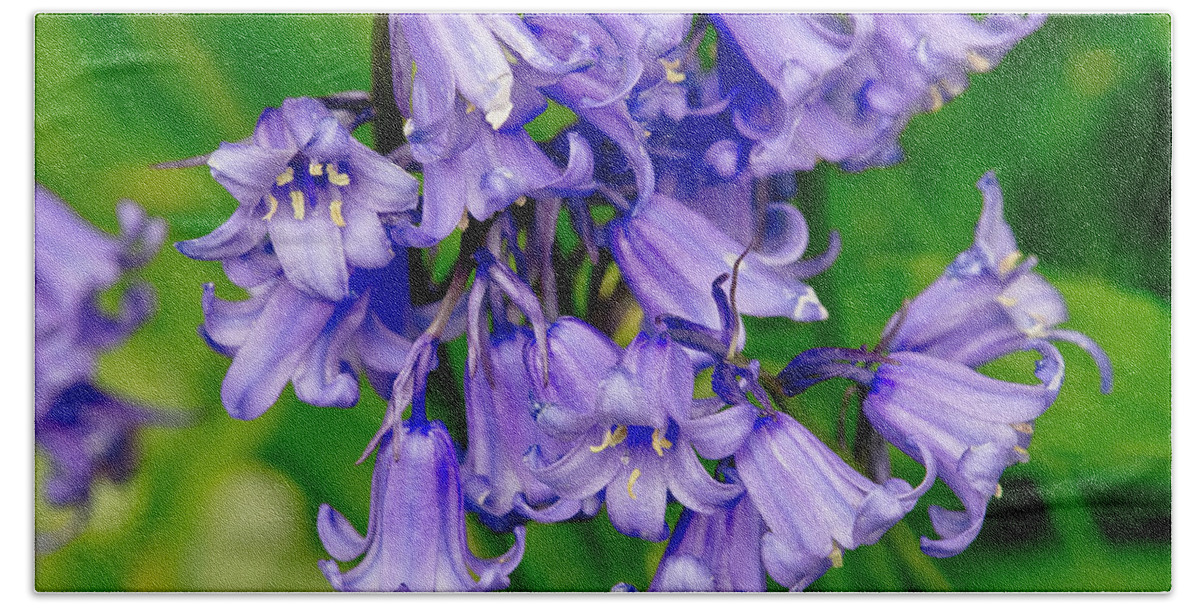 Hyacinthoides Non-scripta Hand Towel featuring the photograph UK's Favourite flower. by Elena Perelman