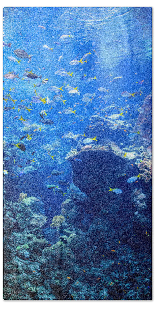 Under The Sea Bath Towel featuring the photograph Under The Sea by Bonnie Follett
