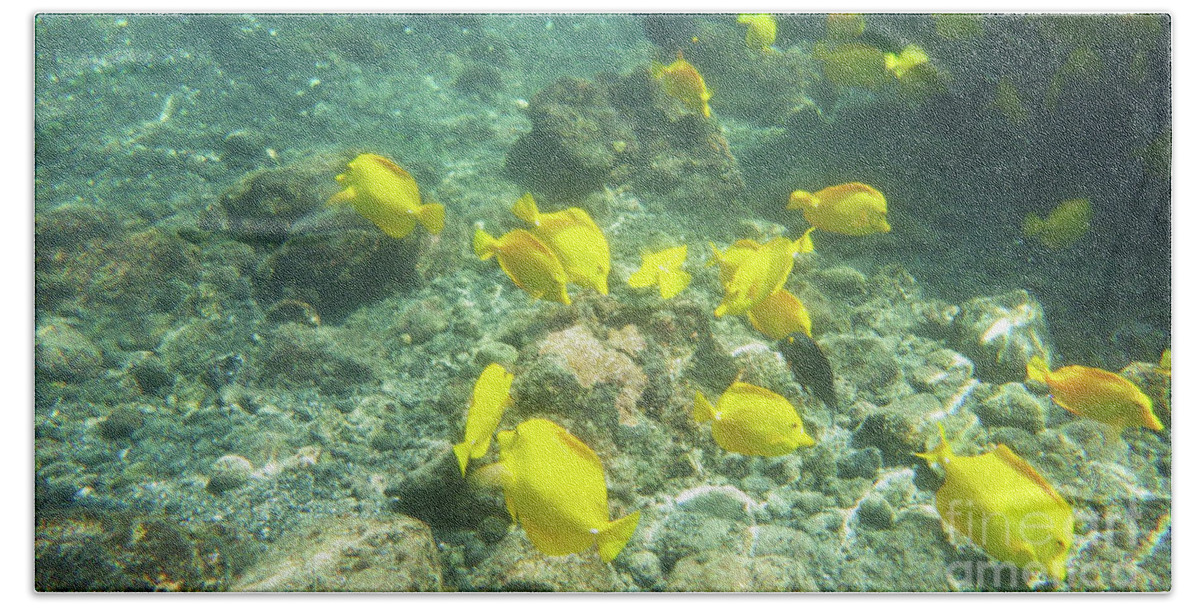 Yellow Tang Hand Towel featuring the photograph Underwater Yellow Tang by Karen Nicholson