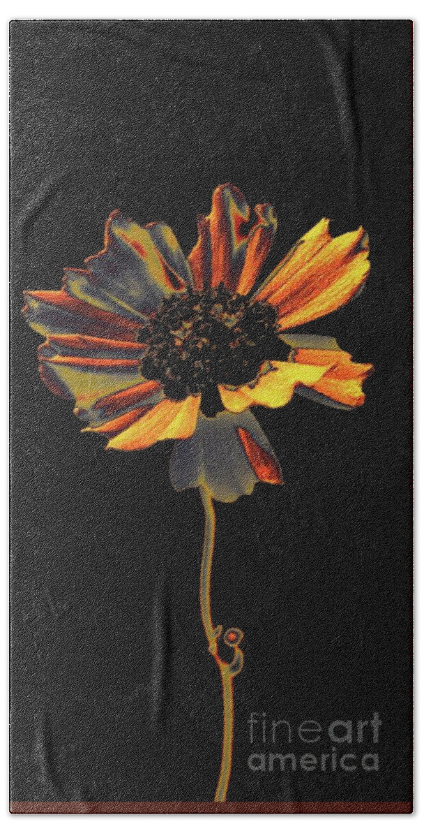 Flower Bath Towel featuring the photograph Uniquely Solo by Dani McEvoy