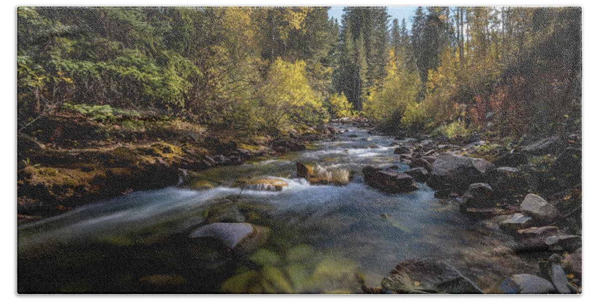 Fall Colors Bath Towel featuring the photograph Up a Colorado Creek by Michael Ash