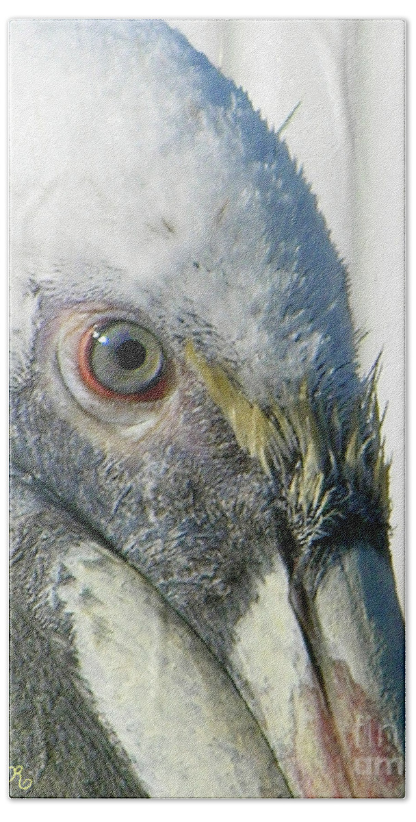 Fauna Hand Towel featuring the photograph Up Close and Personal by Mariarosa Rockefeller