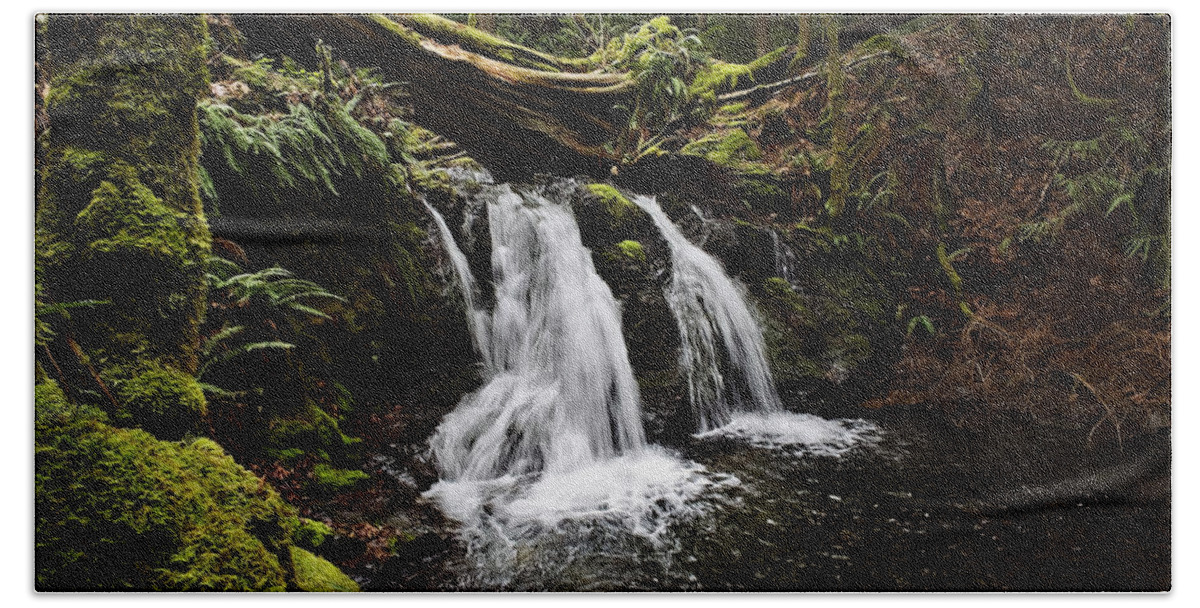 Trees Bath Towel featuring the photograph Upper Cascade Falls by John Christopher