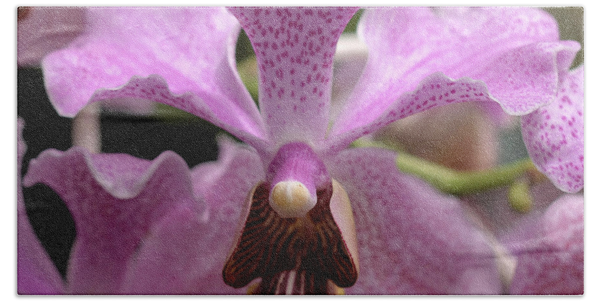 Orchid Bath Sheet featuring the photograph Vanda Macro 8778 by Terri Winkler