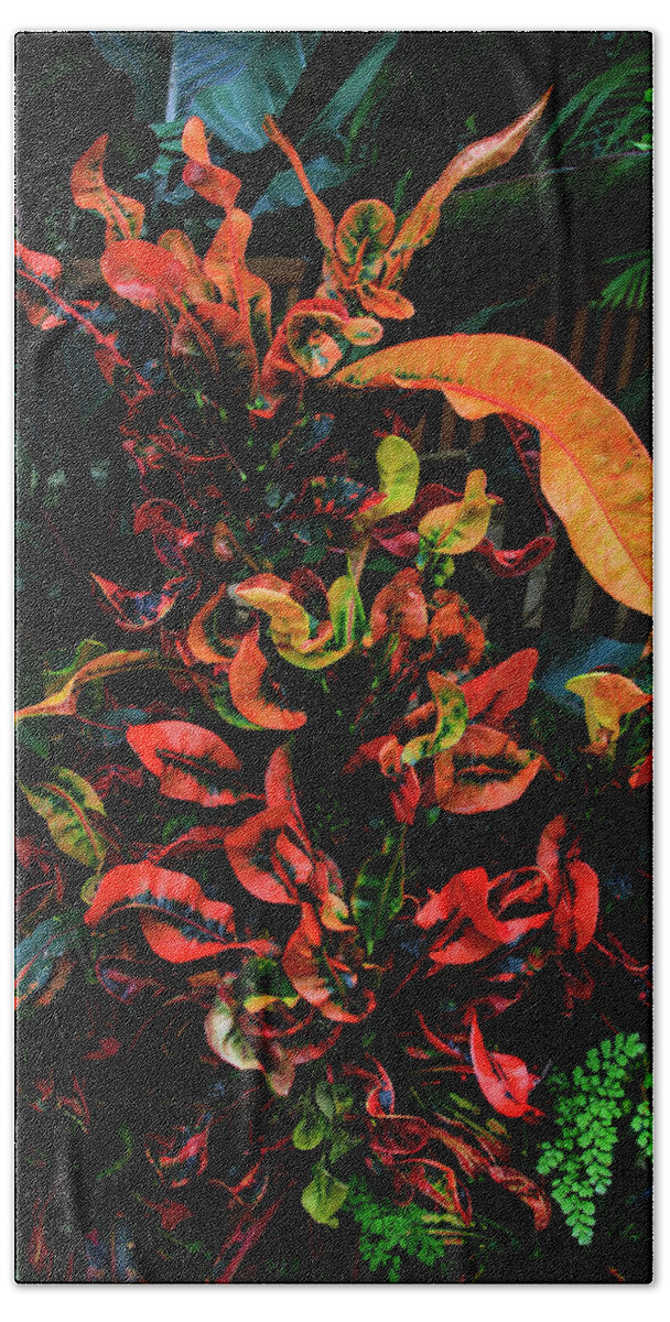 Bonnie Follett Bath Towel featuring the photograph Variegated Croton Burst of Color by Bonnie Follett