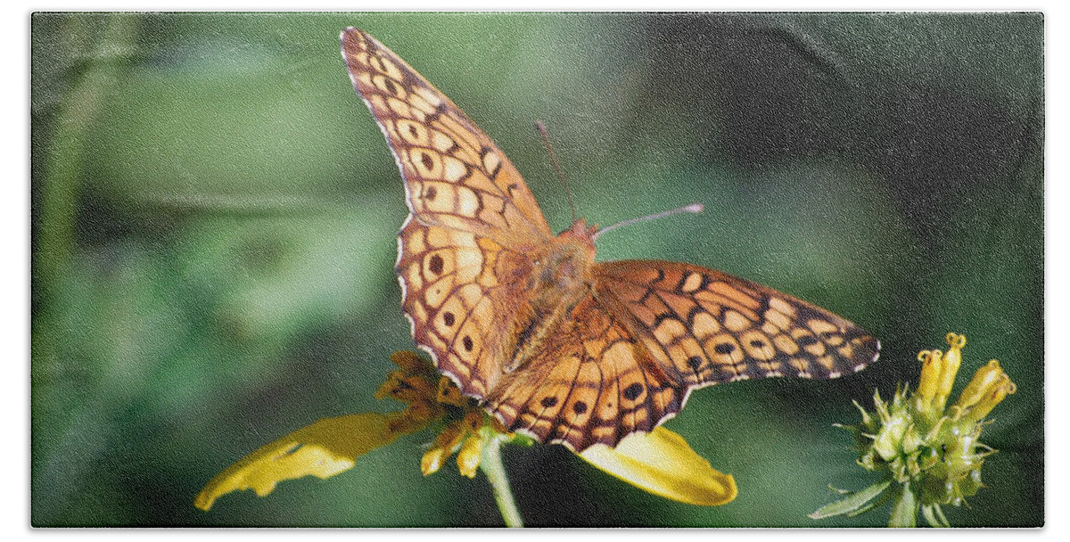 Butterfly Bath Towel featuring the photograph Variegated Fritillary Butterfly by Kerri Farley