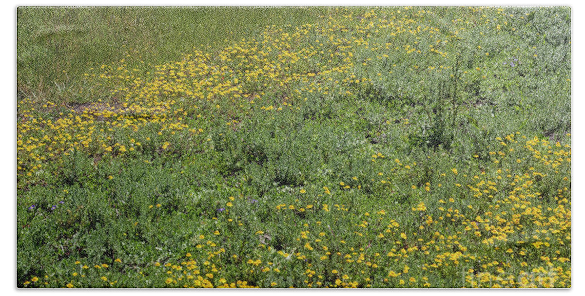 Vernal Pool Bath Towel featuring the photograph Vernal Pool Wildflowers by Suzanne Luft