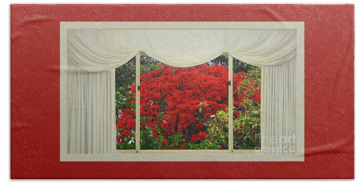 Vibrant Red Blossoms Window View Hand Towel featuring the photograph Vibrant Red Blossoms Window View by Kaye Menner by Kaye Menner