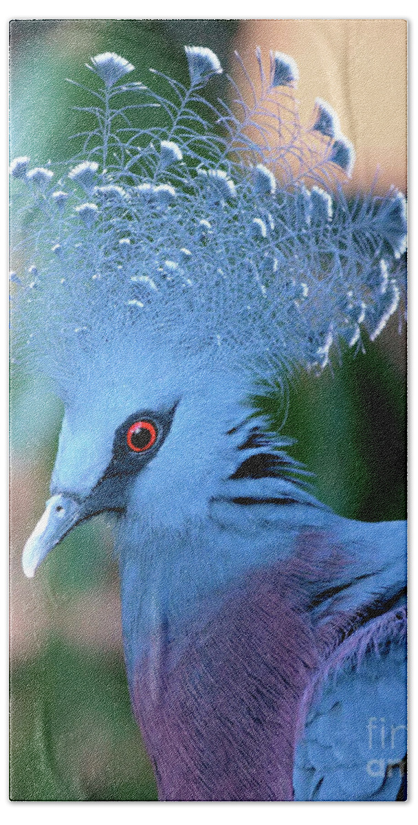 Portrait Bath Towel featuring the photograph Victoria Crowned Pigeon by Baggieoldboy