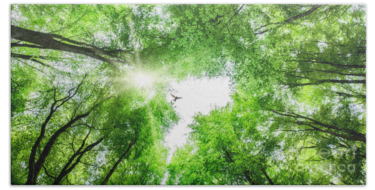 Tree Bath Towel featuring the photograph View through tree canopy with bird soaring by Simon Bratt
