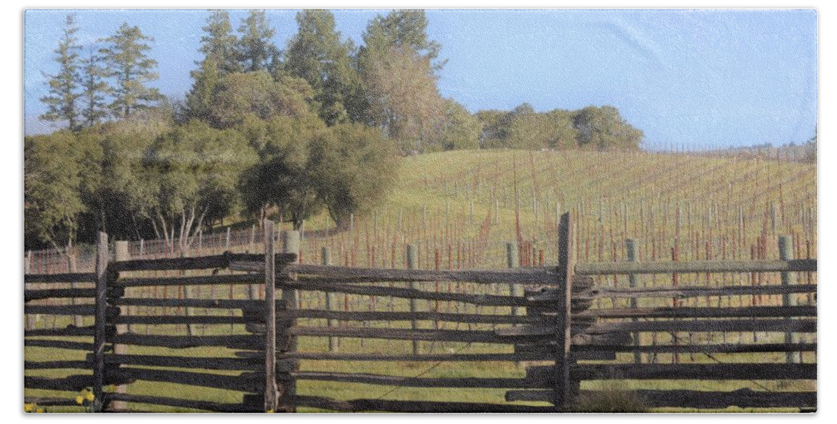 Anderson Valley Hand Towel featuring the photograph Vineyard in the Spring by Lisa Dunn